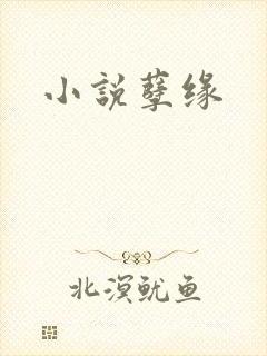 小说孽缘