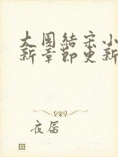 大团结宋小易最新章节更新