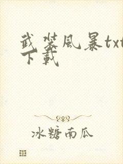 武装风暴txt下载