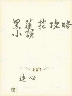 黑莲花攻略手册小说