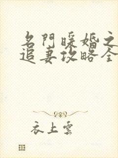 名门暖婚之权爷追妻攻略全文免费阅读封面