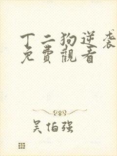 丁二狗逆袭人生免费观看
