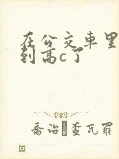 在公交车里c弄到高c了封面