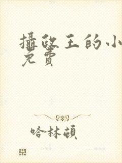摄政王的小娇妃免费