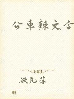 公车辣文合集