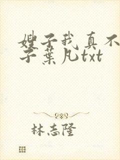 嫂子我真不是傻子叶凡txt