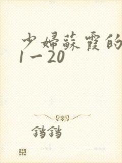 少妇苏霞的沉沦1一20