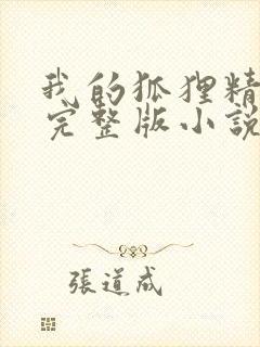 我的狐狸精后妈完整版小说封面