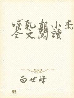 哺乳期小杰王芳全文阅读