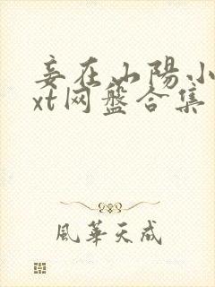 妾在山阳小说txt网盘合集