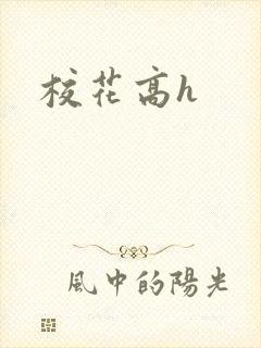 校花高h封面