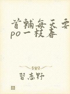 首辅每天要不够po一枝春封面