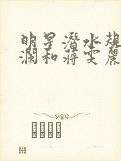 明星潜水规则杨澜和蒋雯丽封面