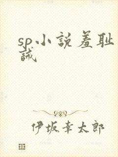 sp小说羞耻训诫封面