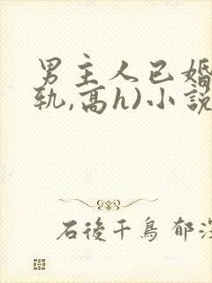 男主人已婚(出轨,高h)小说