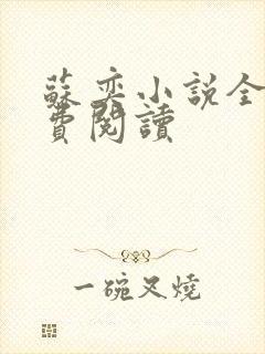 苏奕小说全文免费阅读封面