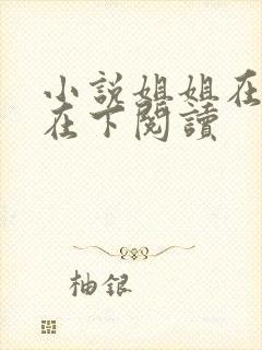 小说姐姐在上我在下阅读