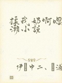 揉我奶啊嗯…高潮小说封面