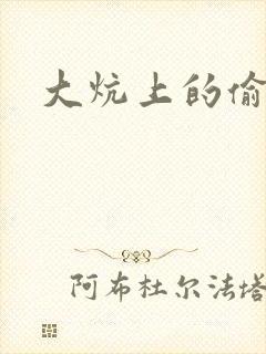 大炕上的偷乱2