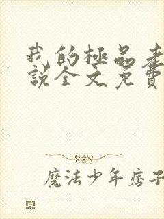我的极品老婆小说全文免费阅读