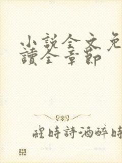 小说全文免费阅读全章节封面