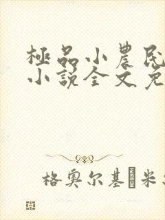 极品小农民项林小说全文免费阅读封面