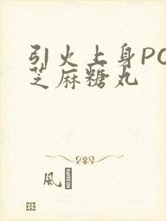 引火上身POP芝麻糖丸