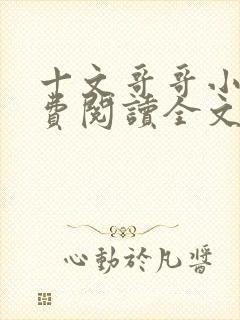 十文哥哥小说免费阅读全文