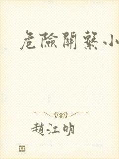 危险关系小说封面