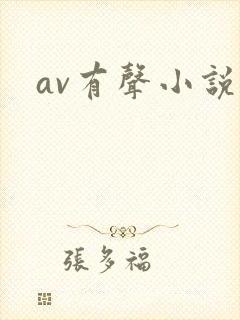 av有声小说