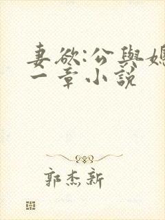 妻欲:公与媳第一章小说封面