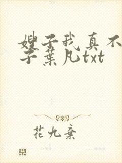嫂子我真不是傻子叶凡txt
