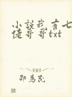 小说我有七个大佬哥哥txt
