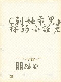 C到她乖黑暗森林的小说免费