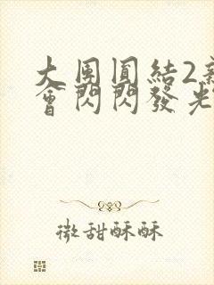 大团圆结2亲情会闪闪发光亲情会2