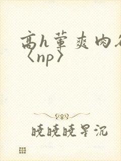 高h荤爽肉欲文〈np〉