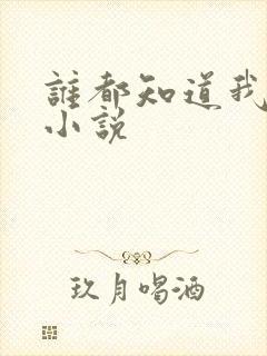 谁都知道我爱你小说