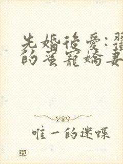先婚后爱:翟少的蜜宠娇妻