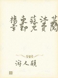 杨东苏沐芸最新章节免费阅读小说封面