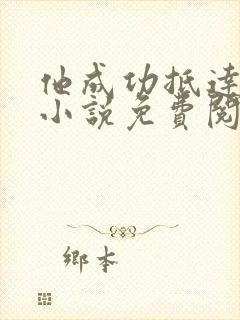 他成功抵达花心小说免费阅读全文