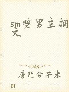 sm双男主调教文封面