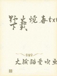 野火烧春txt下载