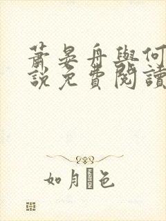 萧晏舟与何夕小说免费阅读最新章节列表