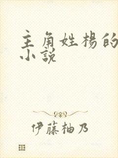 主角姓杨的都市小说