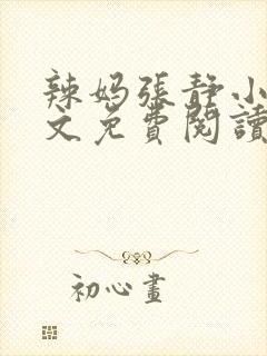 辣妈张静小说全文免费阅读封面