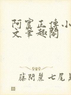 阿宾正传小说全文笔趣阁