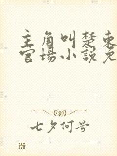 主角叫楚东恒的官场小说免费阅读封面