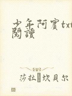 少年阿宾txt阅读