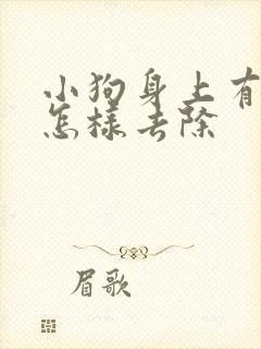小狗身上有跳蚤怎样去除
