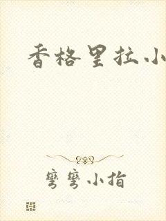 香格里拉小说